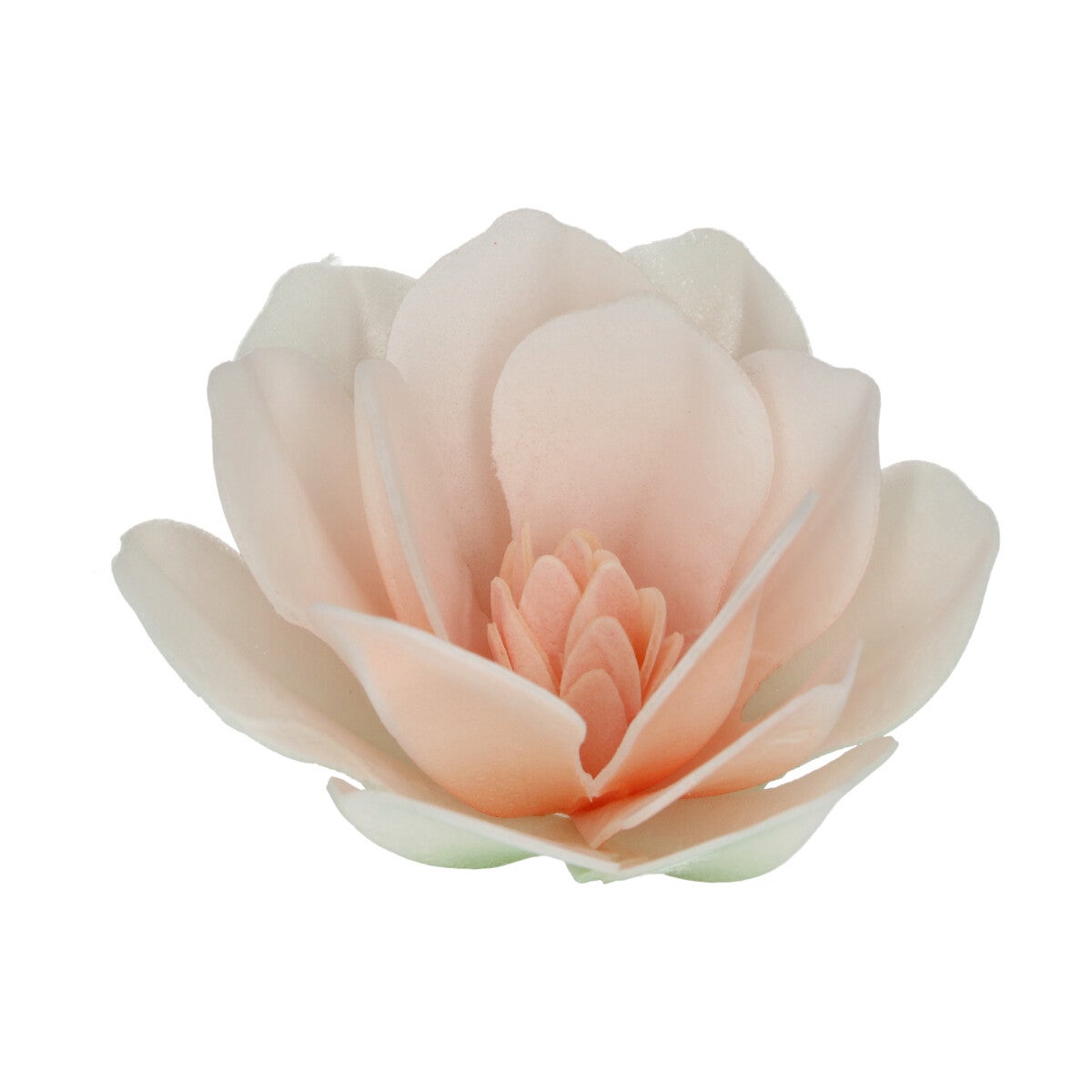 FunCakes Eetbare Papieren Bloemen Deluxe Magnolia Wit Large pk/6
