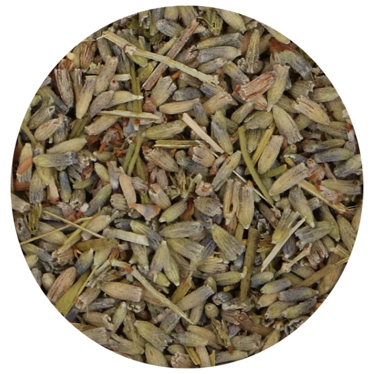 FunCakes Eetbare Gedroogde Bloemen Lavendel 10g