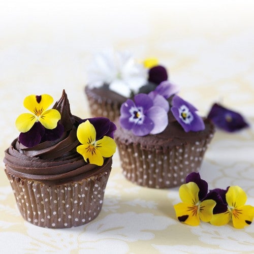 Cupcakes met ganache toef