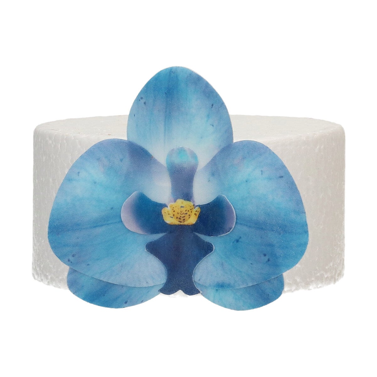 FunCakes Eetbare Papieren Bloemen Deluxe Orchidee Blauw Medium pk/10