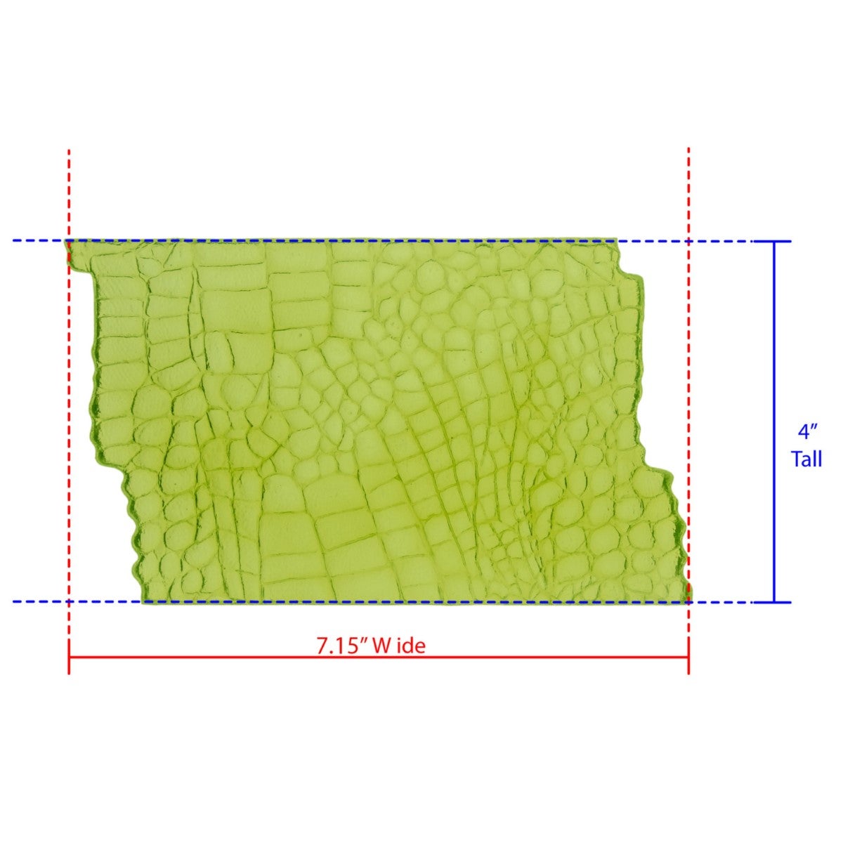 Marvelous Molds Silicone Mal - Alligator