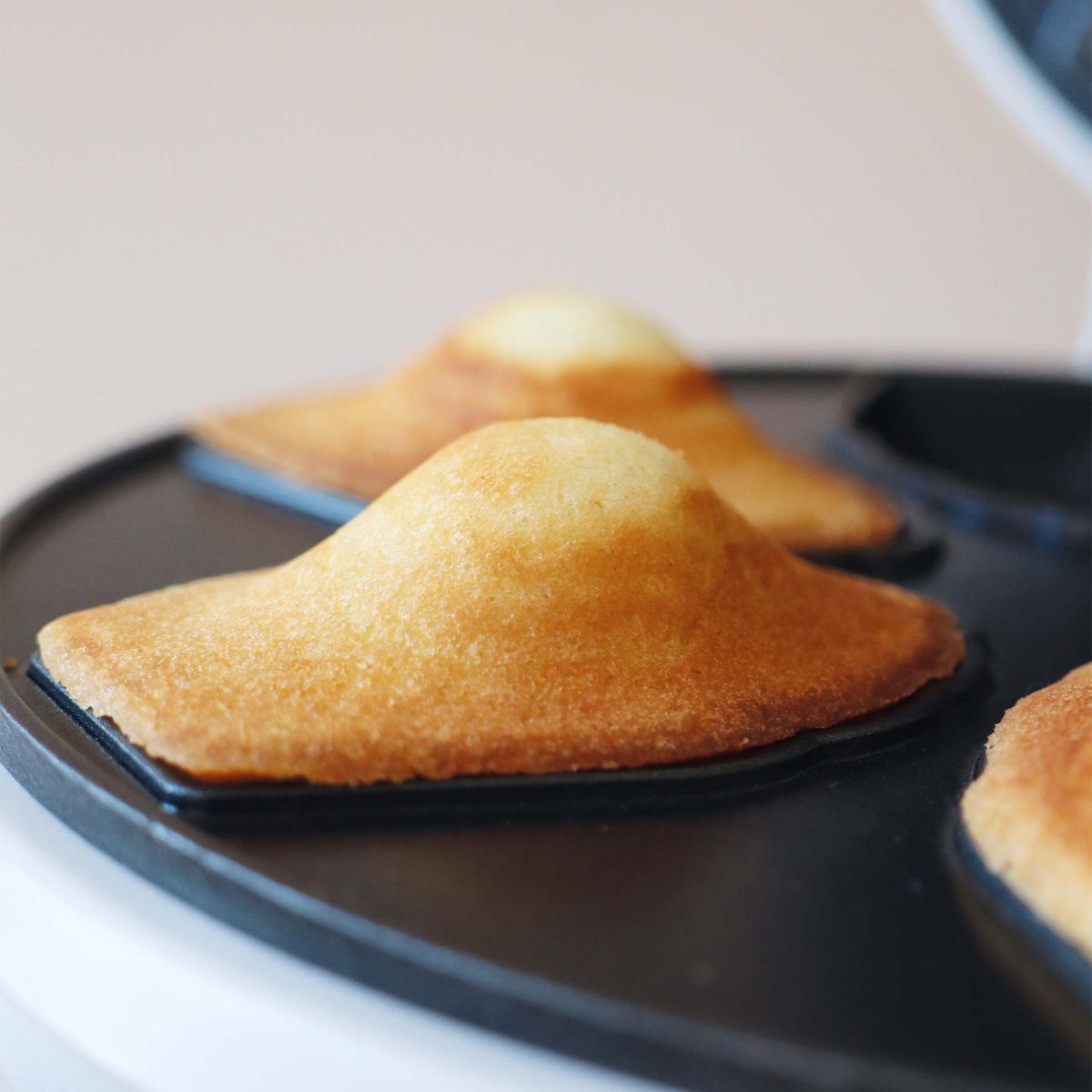 ScrapCooking Madeleine Maker