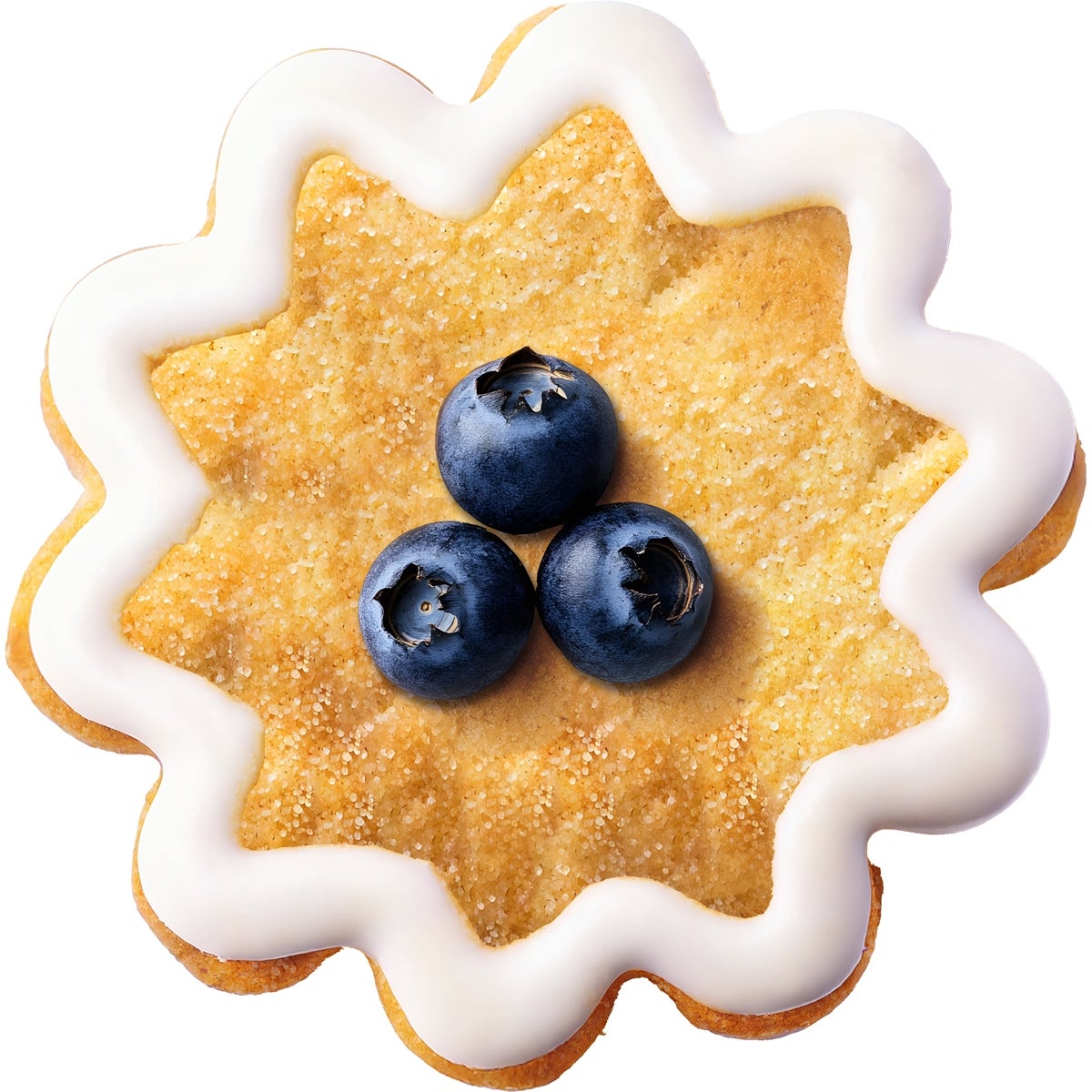 Wilton Nesting Koekjesuitsteker Bloem Set/3