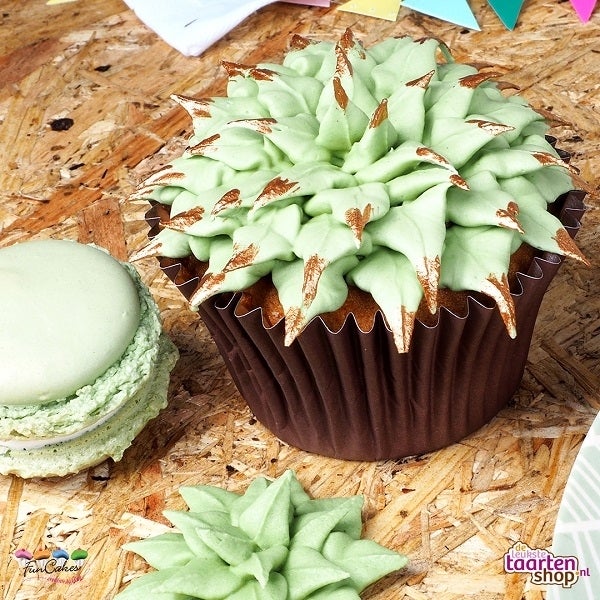 Succulent cupcakes